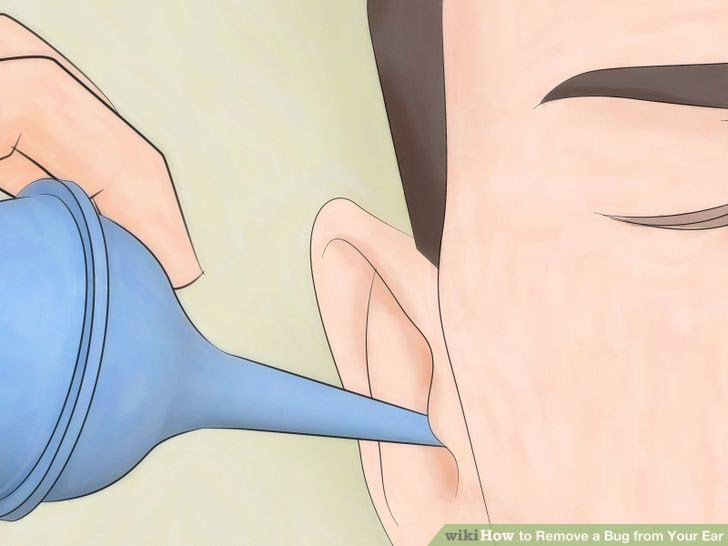 Remove a Bug from Your Ear Step 8.jpg