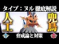 √100以上 タイプ・ヌル 育成論 426421-タイプ ヌル 育成論