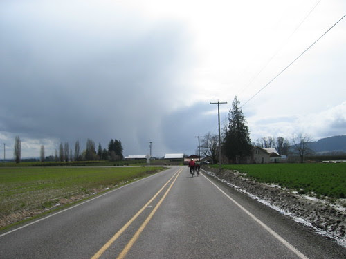Riders on the Storm