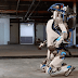 Robot Chien Démonstration : Oct 23, 2020 · c’est un allié inattendu dans la lutte contre le covid: