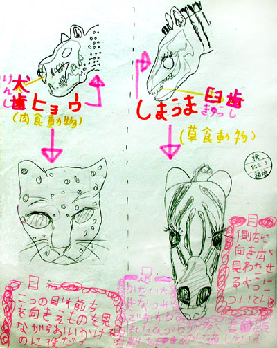草食動物と肉食動物 ２年理科 生物 Takaの授業記録00