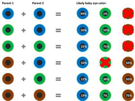 Baby~the american academy of pediatrics (aap) discusses newborn eye color and visual milestones. eyecolorpredict eye color chart genetics eye color chart baby eye