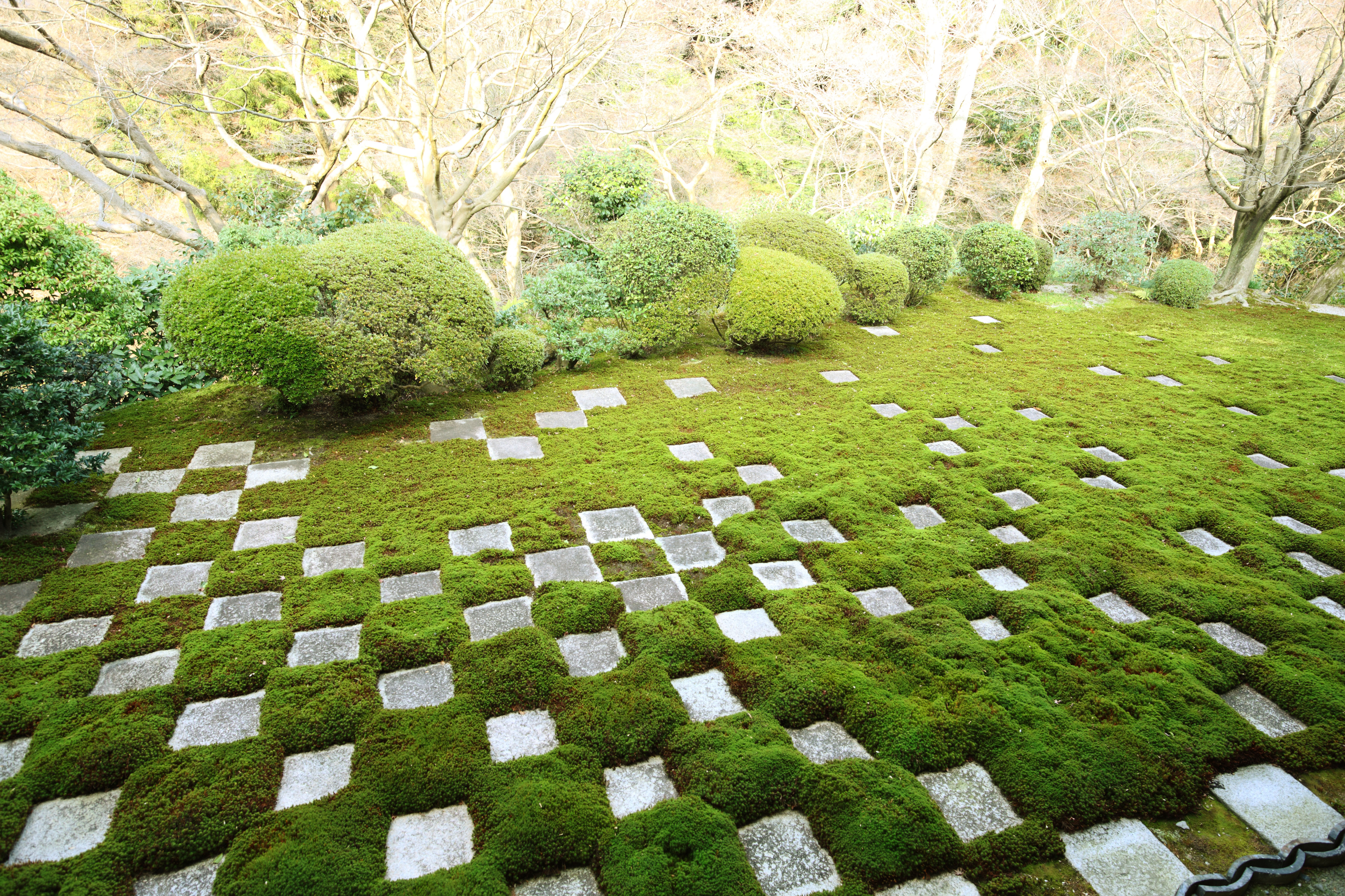 ゆんフリー写真素材集 No 東福寺 方丈北庭 日本 京都