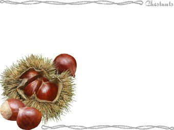 スマホ用ページ 栗 クリ のポストカード用イラスト 条件付フリー素材集