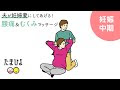 【ベストコレクション】 妊娠中 暑い 295296-妊娠中 暑い 寒い