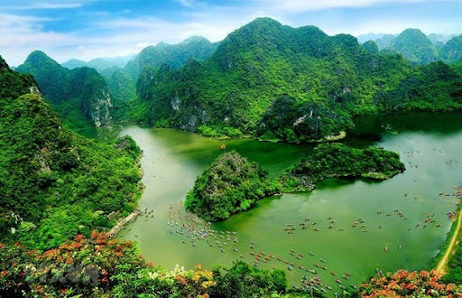 Hình ảnh