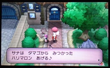 １２日の木曜日 ポケモンｘｙプレイ日記 三日目 その３