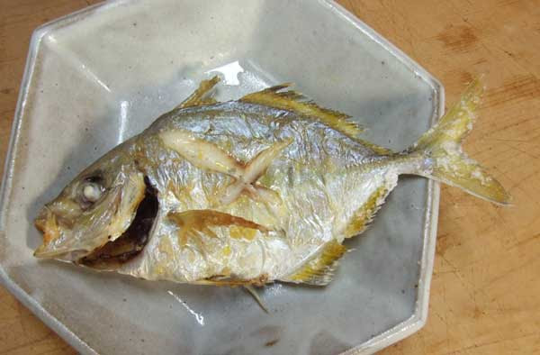 これぞ定番料理 面白くないけどうますぎます カイワリの塩焼き ぼうずコンニャクのお魚三昧日記