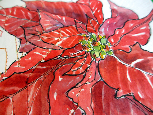 Poinsettia