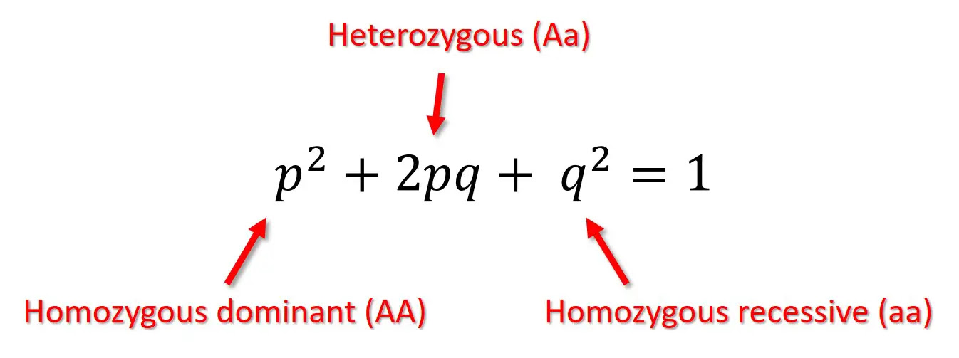 Hw Equation Ekbooks Org