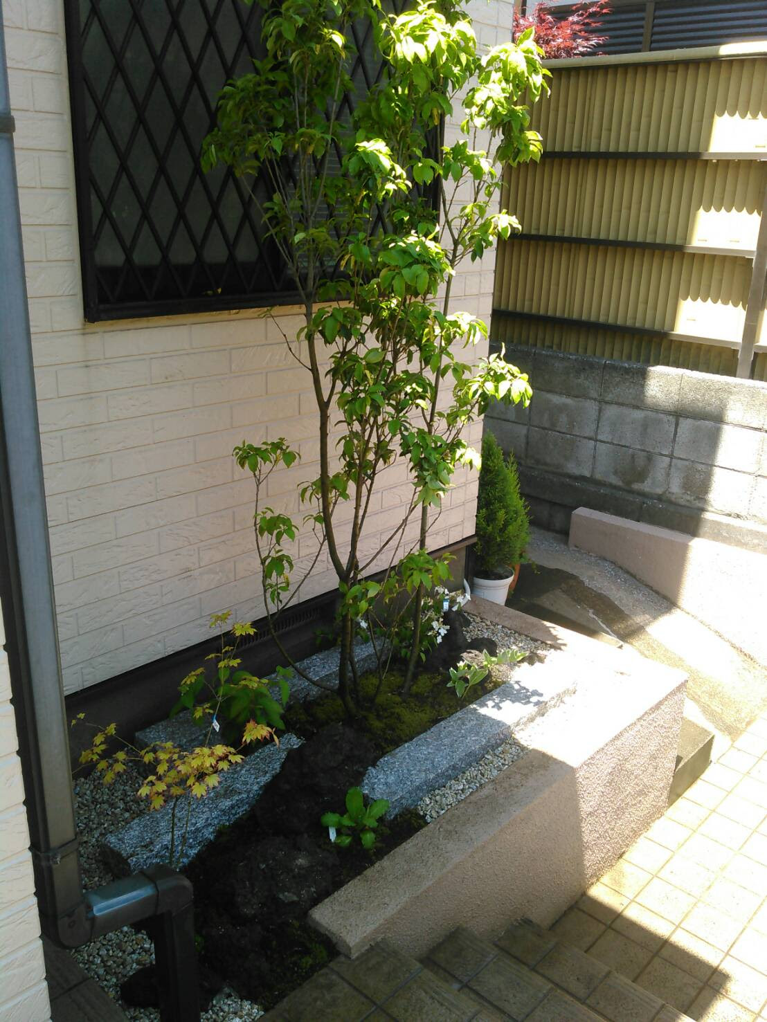狭い 小さい そんなスペースをおしゃれな和風庭園 坪庭 Tsuboniwa にしませんか 外構 エクステリアはひたちなか市のマキプランニング
