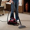 Steam Clean