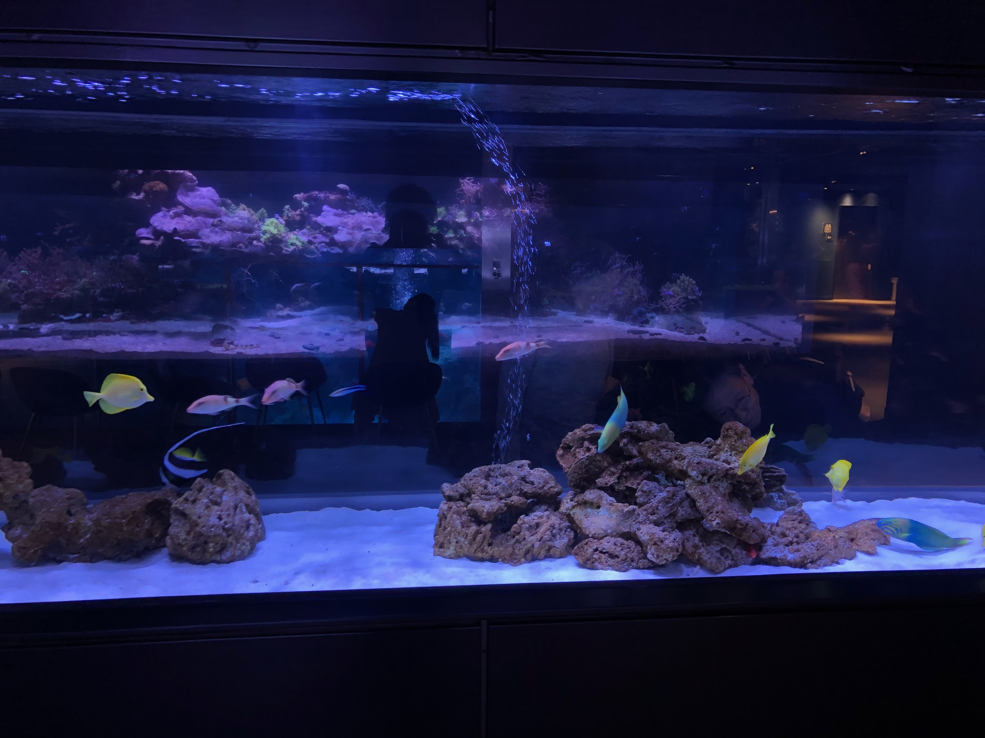 すみだ水族館 足立区 川口市の新築戸建て 住宅ローンのことなら株式会社スター不動産