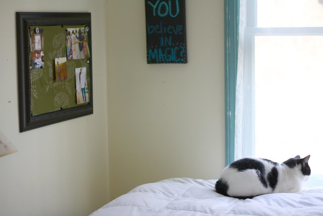 vision board + cat
