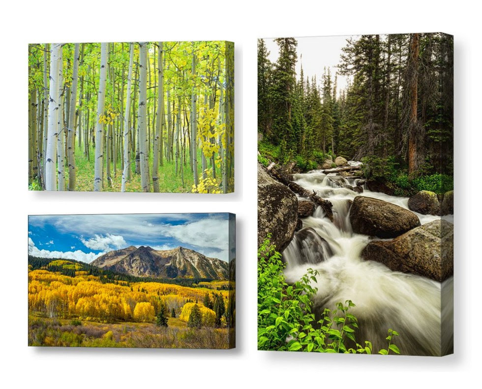 colorado canvas art