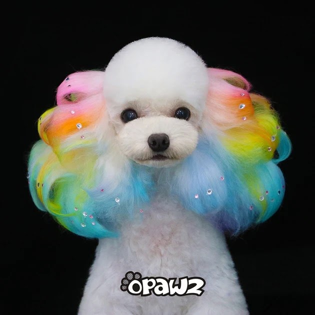 Hair Dye Permanent : OPAWZ Permanent Color Dilution Cream : Protect your skin · step #2: