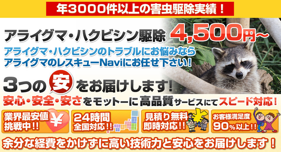 アライグマ ハクビシン 大阪でイタチ駆除なら ジャパン アット レスキュー株式会社