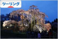 にほんブログ村 バイクブログ ツーリングへ