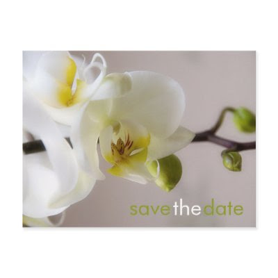 White Orchid • Save the Date Postcard