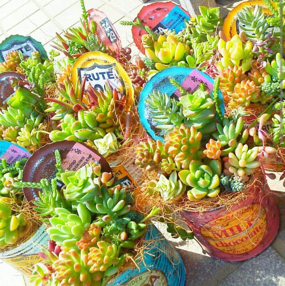 多肉植物 リメイク缶など穴がない鉢を使う時の注意点 水捌けの悪さへの対応法 Goofam