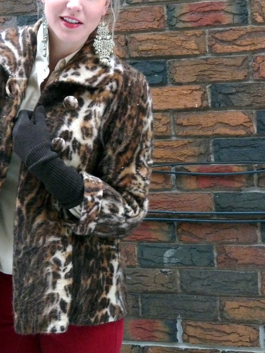 leopard6