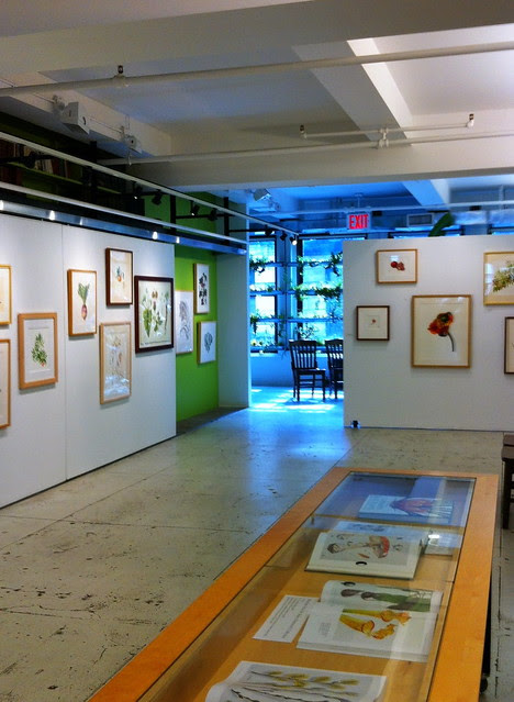 Horticultural Society, 148 W. 37th St.
