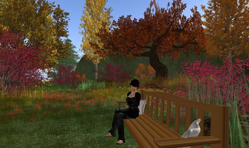 Fall Field at Renaissance Faire