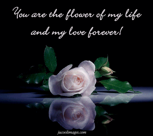 I love You Friend Graphics Myspace Friendship Quotes