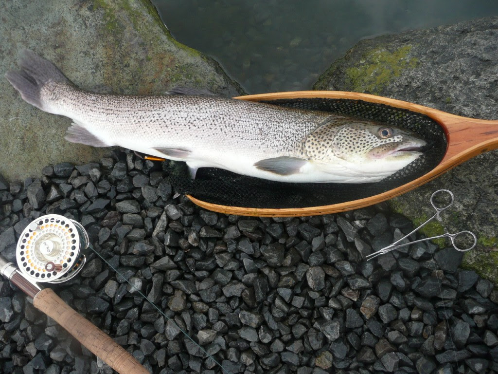 イトウ Tokyo Fly Fishing Country Club 東京フライフィッシング カントリークラブ