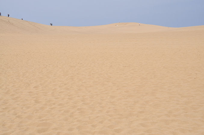 鳥取砂丘 鳥取県鳥取市福部町