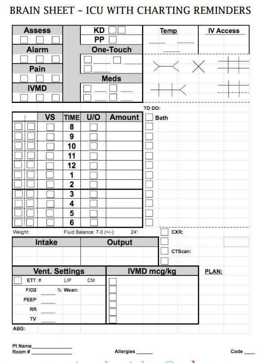 Nurse Brain Sheets - ICU with charting reminders | Scrubs ...