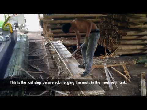 Making Crushed Bamboo Mats (Esterilla)  greenhouse project rajasthan