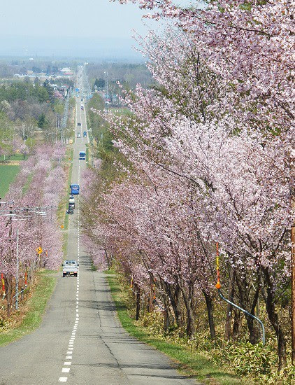 中札内桜六花公園に行ってきました 昨日まで そして明後日から 帯広十勝飲み 食べ 観て歩き By 食いしん坊主