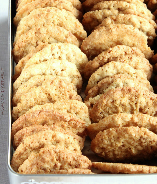 tongass forest cookies
