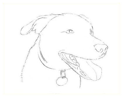 Free How To Draw A Dog In Black Out Line Download Free Clip