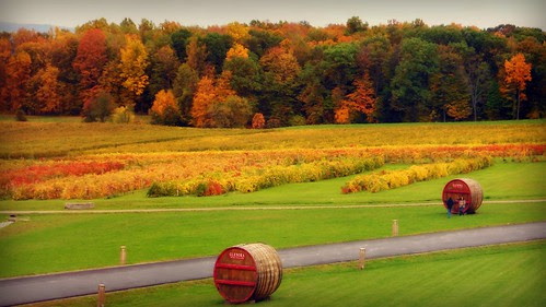 Autumn Landscape