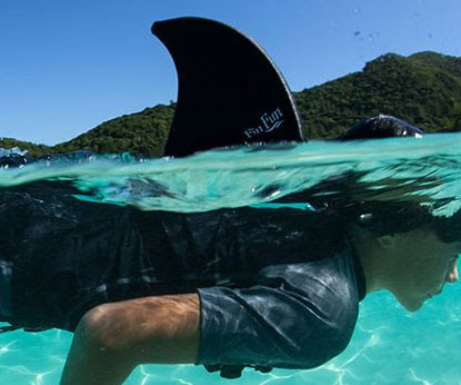 swimming-shark-fin
