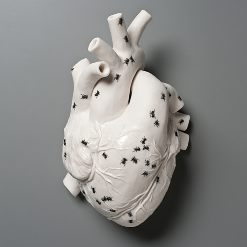 Kate-Macdowell-antsateallmysugar