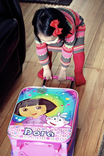 the beloved 'dora' carry on case