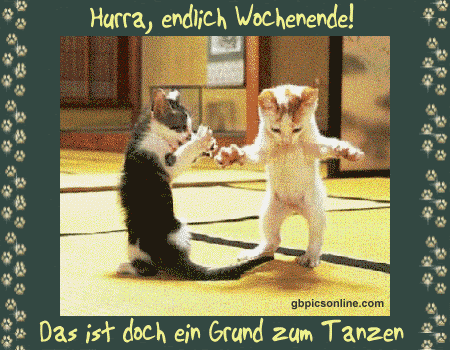 Gif Lustig Schönes Wochenende Bilder Kostenlos - Die 335 besten Bilder von Sommer in 2020 | Lustig, Lustige ... - Um ein bild auf whatsapp oder facebook zu teilen, klickst oder tippst du einfach auf den button unter dem gewählten bild und folgst den anweisungen.