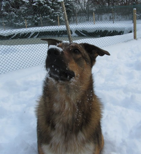 Dec. 6-first snow day