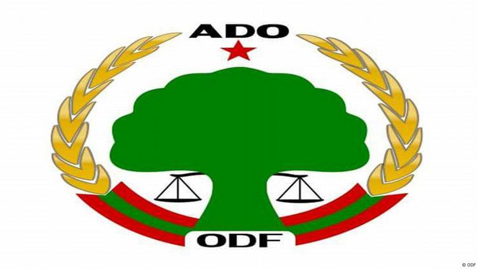 Bilderesultat for ኦዴግ