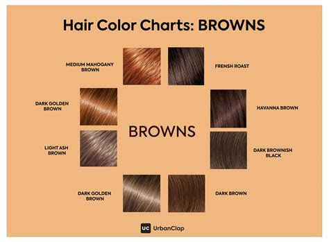 Neutral shades share prev article next article february 28, 2022 gallery 11 best medium brown hair color ideas to try in 2023 august 5, 2022 gallery these are the best hair color shades for … find the right shade of brown hair colour for glossy brunette locks in