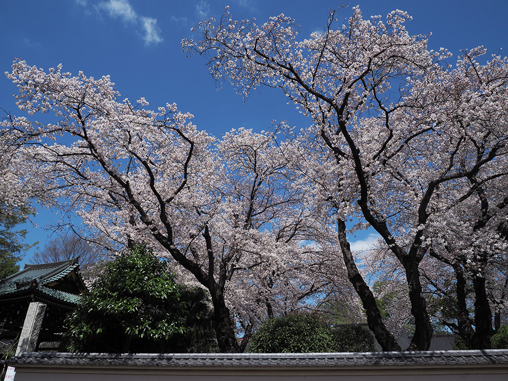 寺 東久留米みてある記