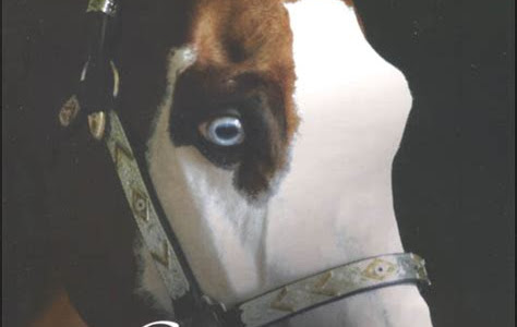Reading Pdf Gunner: Hurricane Horse (True Horse Stories) Free Kindle Books PDF
