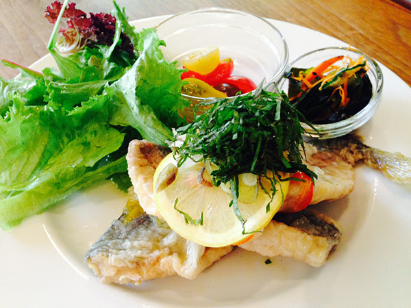 Daylight Kitchen Organic つたここ