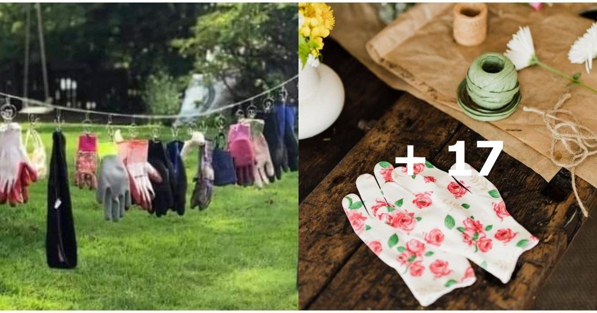 Mom set up a roadside display with all the items her cat had stolen, so that her neighbors could take them back.