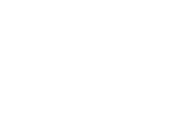 レース丸 レース素材専門サイト Da Lace ダ レース