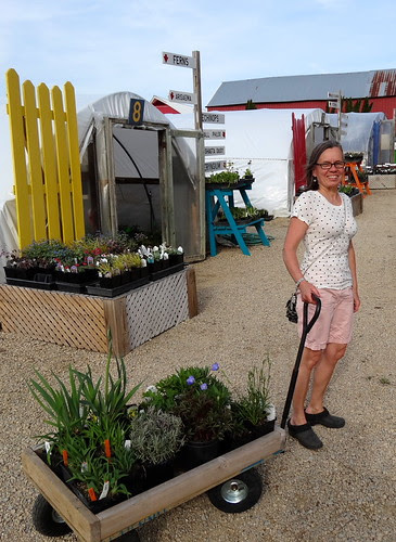 DSC01968 - Version 2