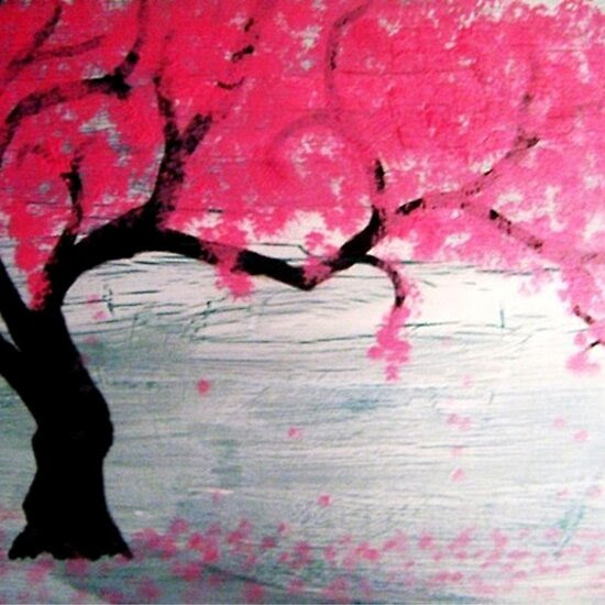 cherry tree blossoming. cherry tree blossom japan.